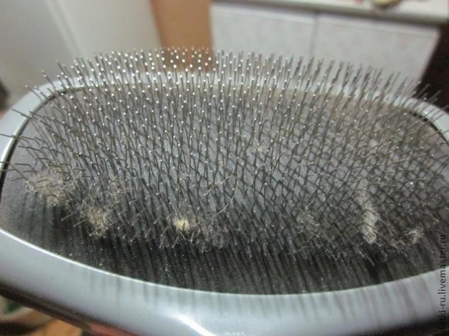 Как вымыть и покрасить шерсть