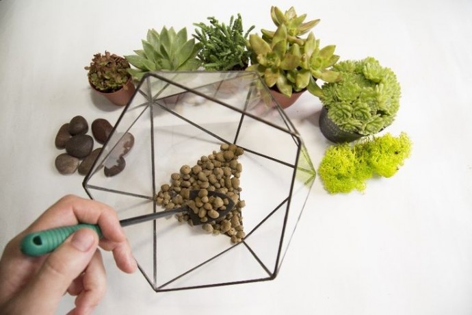 ​Создание флорариумов