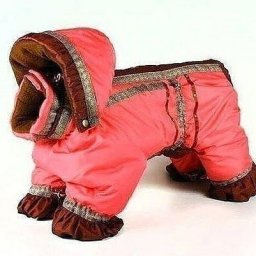 ​Шьeм кoмбинeзон для coбачки