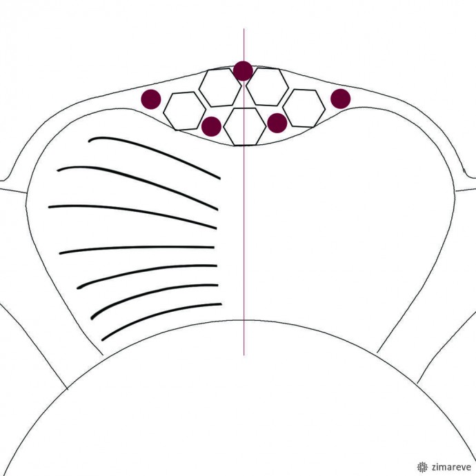 Мастерим брошь-цветок "Flower of the Universe": часть 1