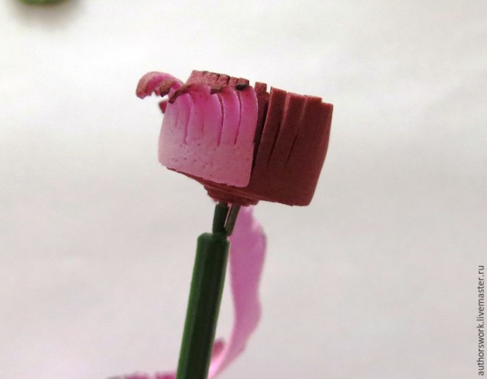 Гербера из фоамирана: часть 4