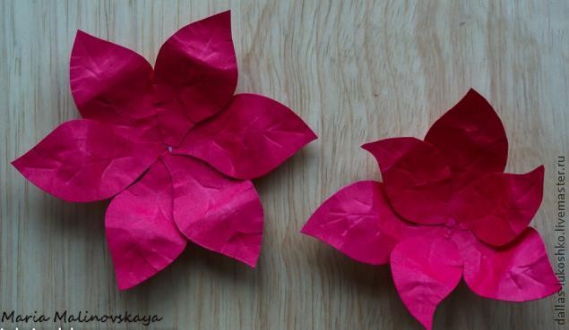 Прекрасная пуансеттия: часть 2