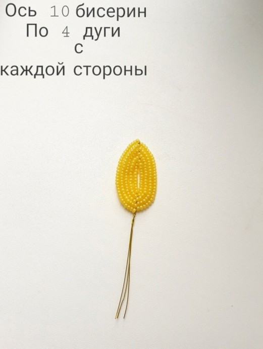 ​Пахистахис из бисера и рубки