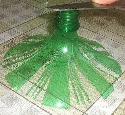 Вечные цветы для сада