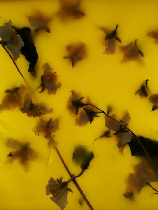 Про изготовление натуральных восковых свечей с травами Про изготовление натуральных восковых свечей с травами