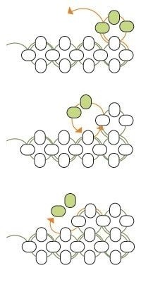 ​Как оживить простой жгутик