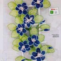 ​Яркие цветы клематиса из бисера