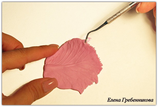 Брассика из холодного фарфора: мастер-класс, часть 1 Брассика из холодного фарфора: мастер-класс, часть 1