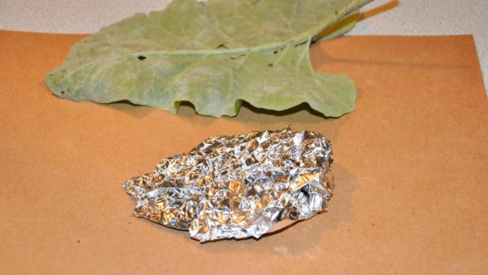 ​Мастер-класс по изготовлению оригинального блюда "Листья": часть 1