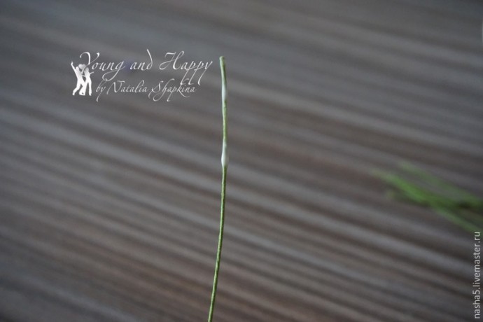 Лепим из полимерной глины веточки лаванды: часть 1 Лепим из полимерной глины веточки лаванды: часть 1