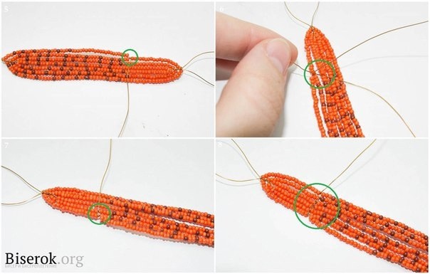 Лилия тигровая