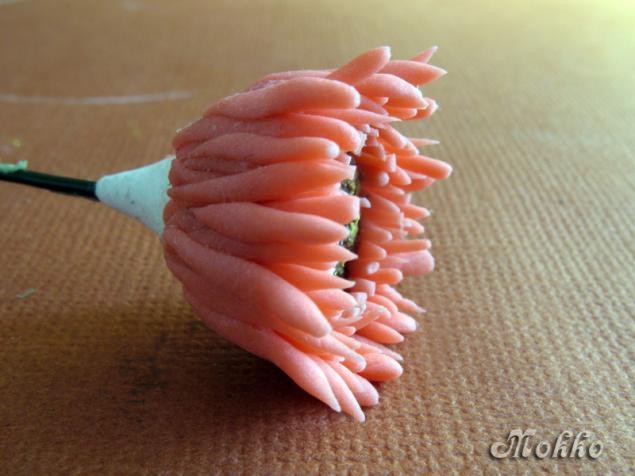 Лепка цветка герберы из полимерной глины: часть 1