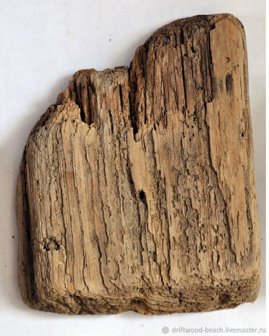 ​Создаем абстрактную композицию с морскими мотивами