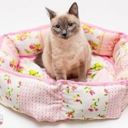 ​Шьём спальное место для кошки