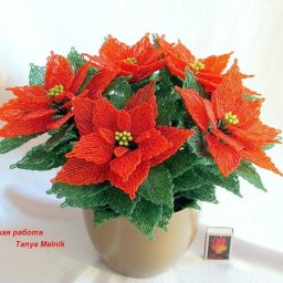 ​Алая пуансетия из бисера и рубки