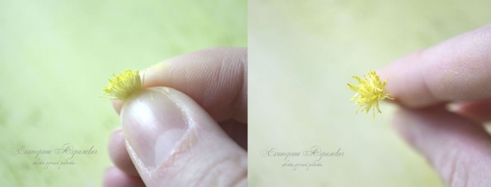 Создаем цветок "Ветреница дубравная" из фоамирана: мастер-класс, часть 2