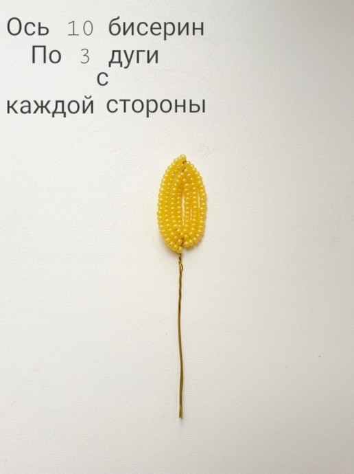 ​Пахистахис из бисера