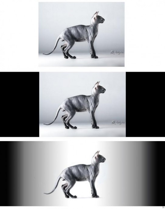 Шкатулка с кошкой: мастер-класс, часть 1