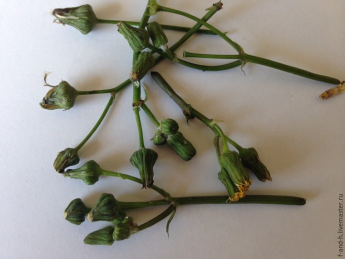 ​Как сделать тычинки для цветов за 5 минут