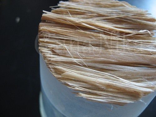 Создаем кофейное дерево: часть 2