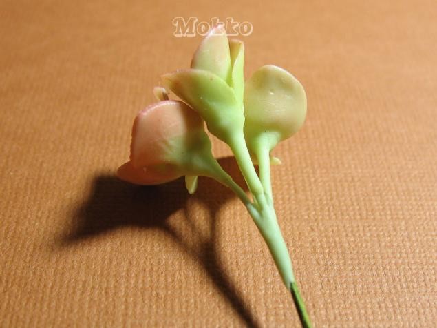 Лепим цветок гортензии из полимерной глины: часть 2 Лепим цветок гортензии из полимерной глины: часть 2