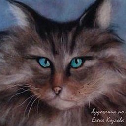 Создание картины из шерсти "Серьёзный кот с голубыми глазами"