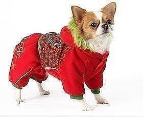 Шьeм кoмбинeзон для coбачки Шьeм кoмбинeзон для coбачки