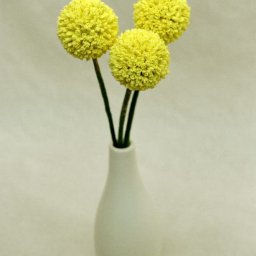 Краспедия из фоамирана