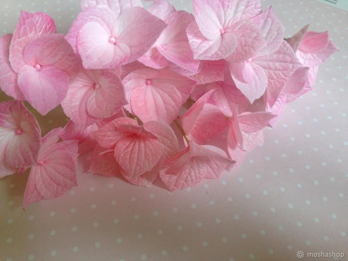 Создаем нежную гортензию из фоамирана: часть 2