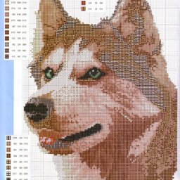 ​Вышиваем крестиком собачек