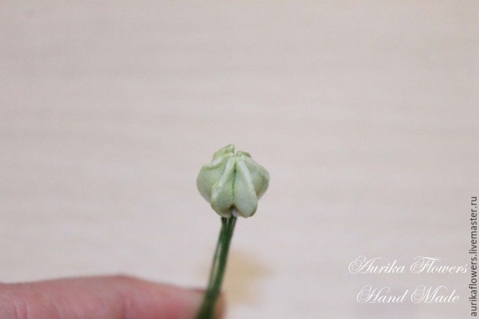 ​Как сделать люпин из иранского фоамирана: часть 5