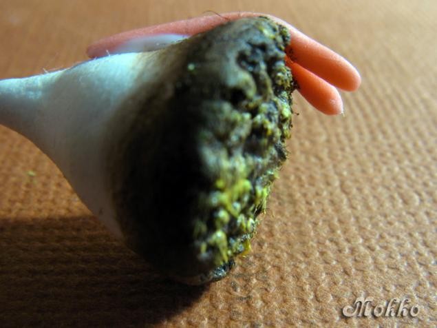 Лепка цветка герберы из полимерной глины: часть 1