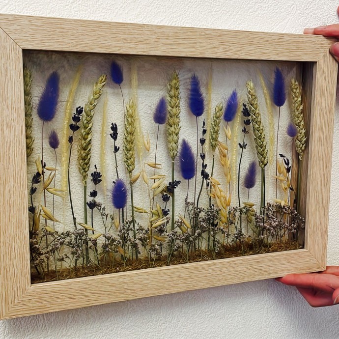 Долгоиграющие панно из сухоцветов Долгоиграющие панно из сухоцветов