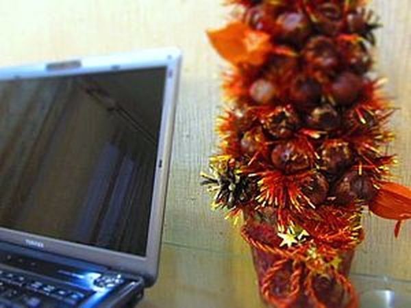 Делаем ёлку из каштанов: часть 1 Делаем ёлку из каштанов: часть 1