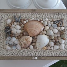 Композиции из ракушек