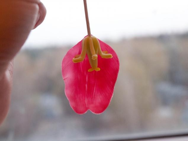 Цветы из холодного фарфора: тюльпаны, часть 5