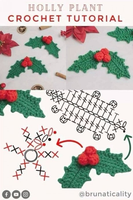 Новогодняя пуансеттия