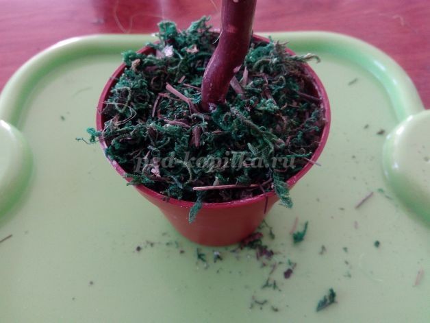 Красивый топиарий своими руками