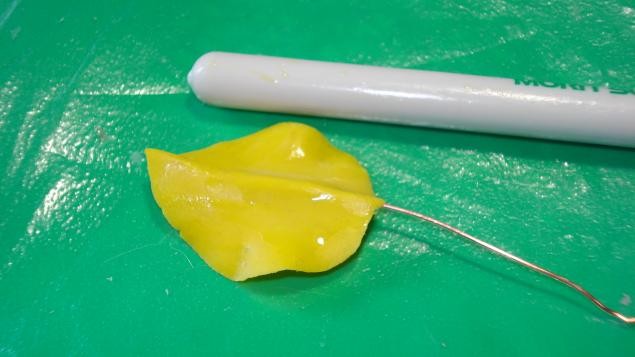 Венерин Башмачок: часть 2