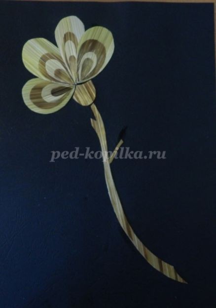 Цветочное панно из соломки: часть 2