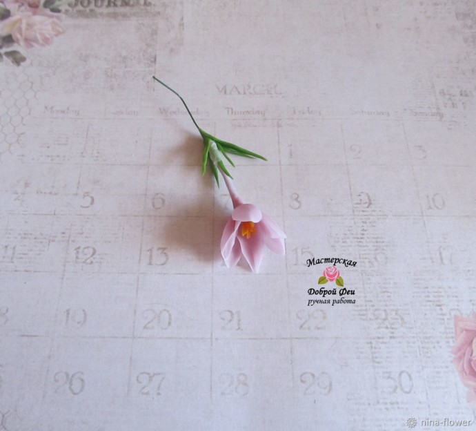 Как слепить реалистичный крокус из фарфора: часть 2 Как слепить реалистичный крокус из фарфора: часть 2