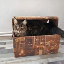 Делаем домик для кошки