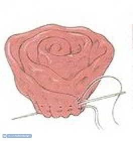 ​Роза из ткани