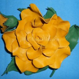 Роза из кожи: часть 1