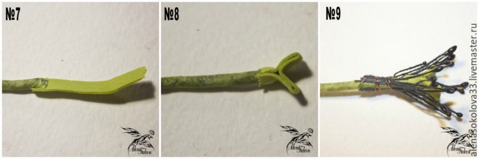 ​Делаем симпатичную фоторамку с мимозой и тюльпанами