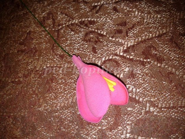 Крокусы из фоамирана: часть 2