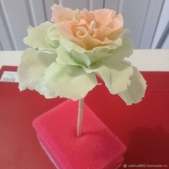 Создаём пион из холодного фарфора: часть 3