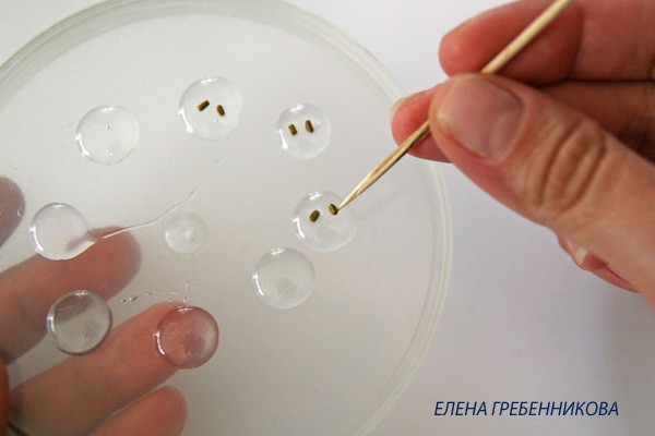 ​Красная смородина из эпоксидной смолы: часть 1