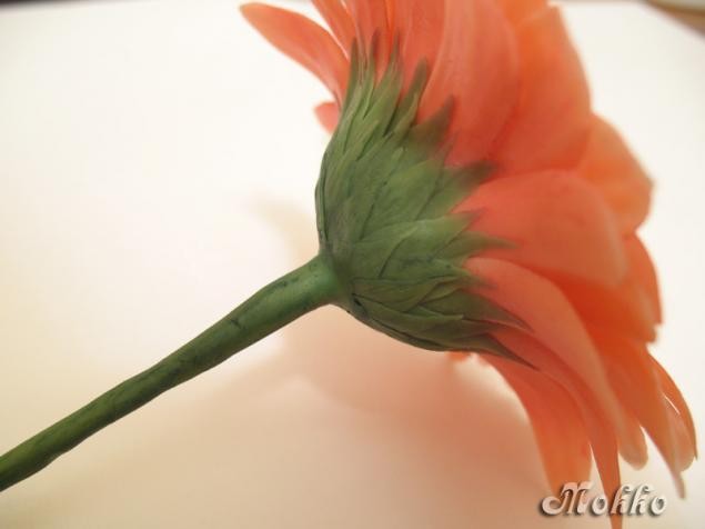 Лепка цветка герберы из полимерной глины: часть 3