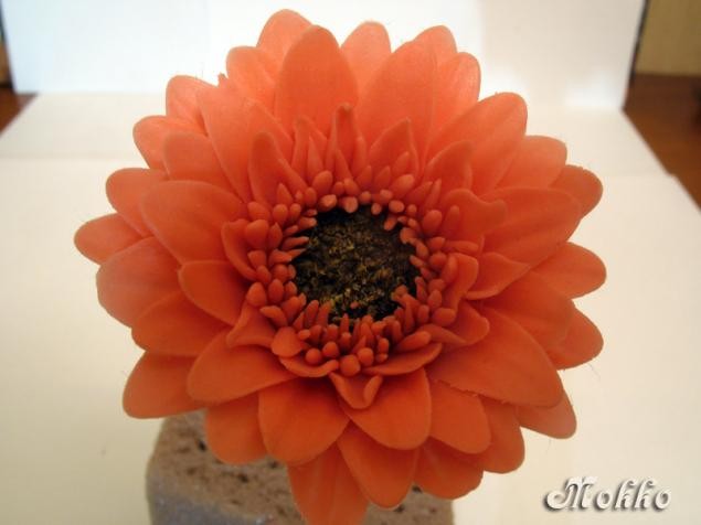 Лепка цветка герберы из полимерной глины: часть 2